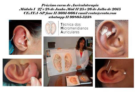 Livro Acupuntura Auricular Os Meridianos Na Orelha Junho 07 2015