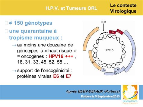 Le contexte virologique ppt télécharger