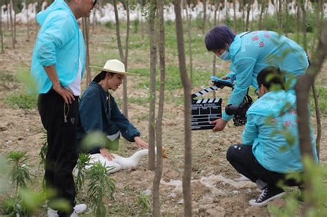 一红传媒《乡村振兴 精准助农》高刘大白鹅品牌系列短剧（白鹅姑娘）正式开拍 安徽频道 凤凰网