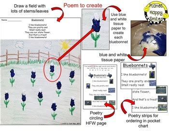 Texas Bluebonnet Poem ~ Poetry Page and Writing Activity | TpT