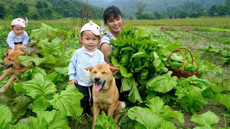 Single Mother And Her Son Harvest Four Season Vegetable Gardens Go To