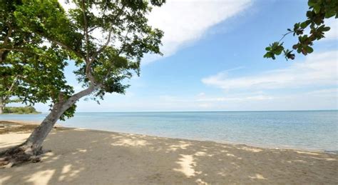 Top 8 Beachfront Hotels In Puerto Princesa, Philippines - | Trip101