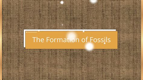 The Formation of Fossils - Animated Video By Toon_Navigator - Mango Animate