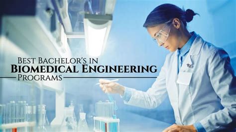 10 Best Bachelor S In Biomedical Engineering Programs