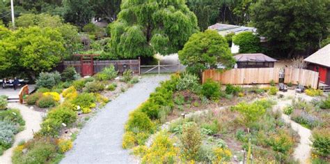 Our Story Friends Of Home Ground Native Plant Nursery Novato Home Ground Habitats