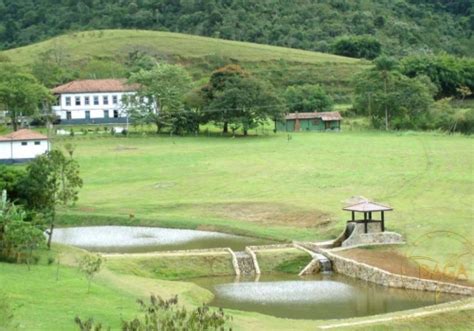 Fazendas à venda na Zona Rural em São Paulo Chaves na Mão