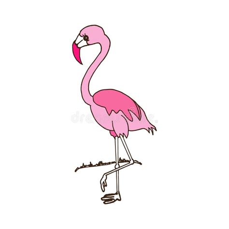 Bela Ilustração Rosa Flamingo Em Fundo Branco Vetor Desenhado à Mão