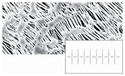 Sartorius Ptfe Polytetrafluorethylene Membrane Filters Pore Size 1