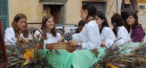 Domani Festa Della Lavanda A Nava Confermati Gli Appuntamenti Al Forte