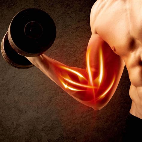 The Best Foods And Supplements For Muscle Growth Healthy Being