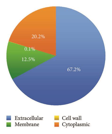 Subcellular Localization Of Proteins Identified In Streptococcus