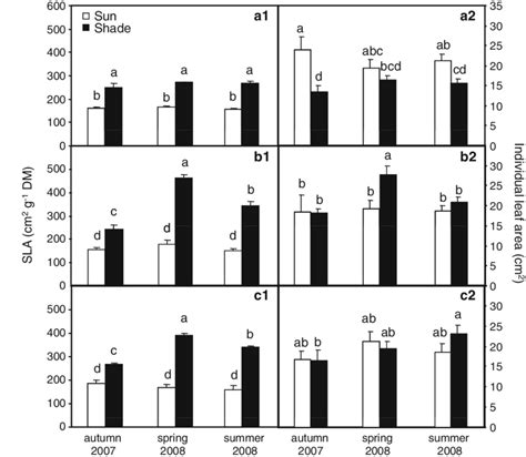 Specific Leaf Area SLA Cm 2 G 1 DM A1 B1 C1 And Individual