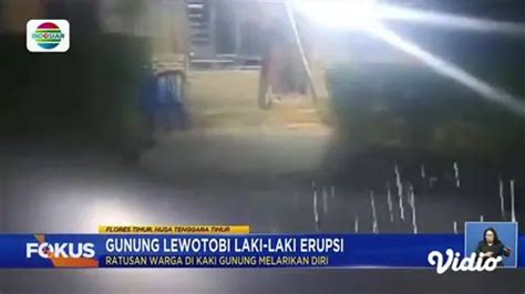 Fokus Pohon Besar Di Situs Budaya Petta Bulu Matanre Tumbang Timpa