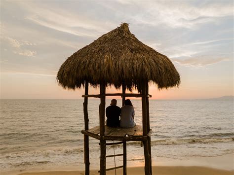 Experts explain how the tripadvisor puerto vallarta forum works 1