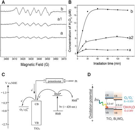 ESR Spectra For Superoxide Radical O2 HOO Adducts With DMPO During