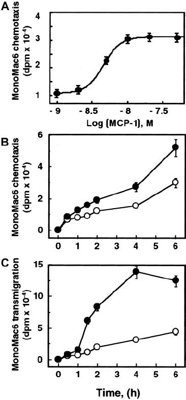 CTX And PTX Stimulate The MCP 1induced JNK1 And P38 Activations But