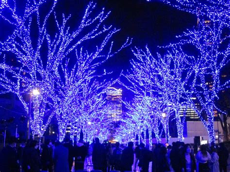 Winter Illuminations Enjoy The Beautiful Light Shows Around Tokyo