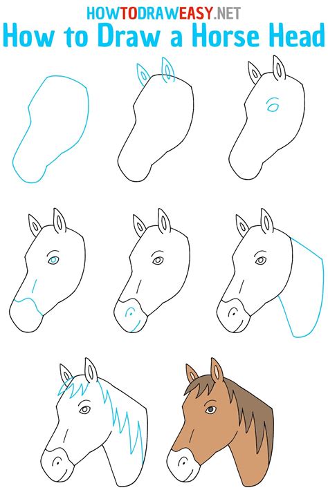 How To Draw A Horse Head Step By Step Horse Face Drawing Horse