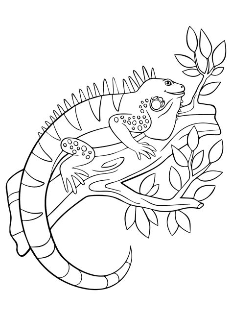 Free Iguana Coloring Page - Free Printable Coloring Pages