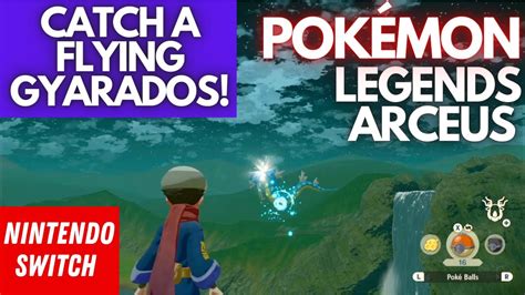 EASILY CATCH A FLYING GYARADOS Pokémon Legends Arceus YouTube