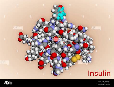 Insulin molecule hi-res stock photography and images - Alamy