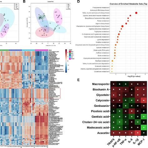 Msc Derived Exosomal Mir P Caused Changes In Gut Microbiota A