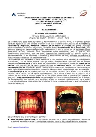 Anatomia De La Cavidad Oral Pdf