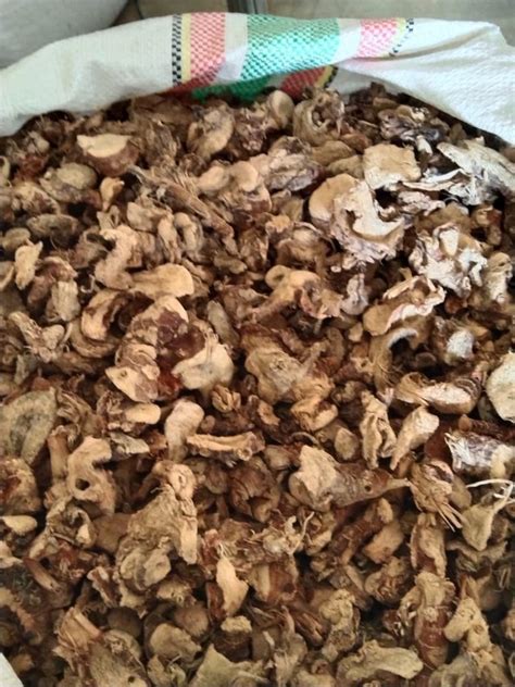 Dried Galangal Roots Kulanjan At Rs Kg Galangal Root In Indore