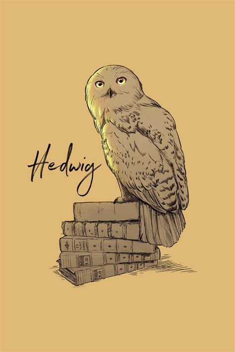 Harry Potter Hedwig Drawing