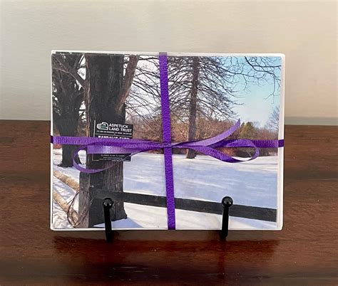 Eco-friendly paper options will soon dominate business cards Easton MD 23