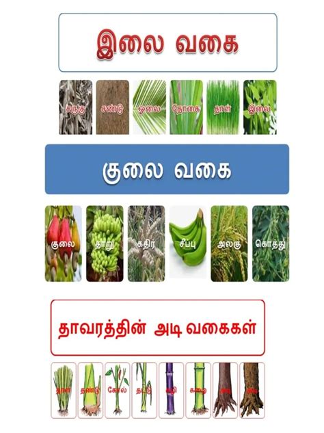 தமழ சறகள Knowledge quotes General knowledge Save