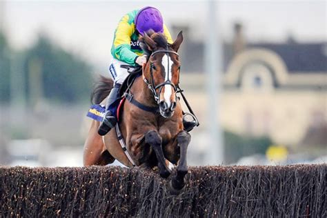 Kauto Star Photos, Posters & Prints | Horse Racing Photos