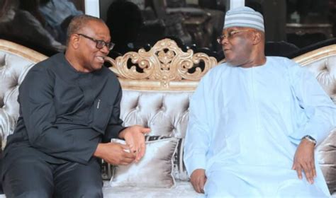 2023 Peter Obi Picks Pdp Presidential Form Set To Lock Horns With