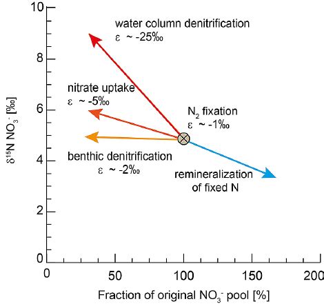 Isotopic Changes During Nitrate Turnover In The Open Ocean After