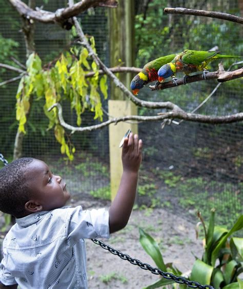 Zoo Tampa 3 - ZooTampa at Lowry Park