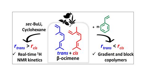 Anionic Polymerization of the Terpene Based Diene β Ocimene Complex