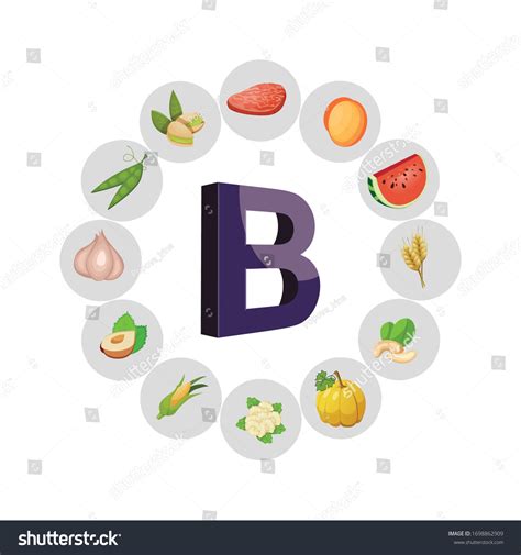 Vitamin B Food Sources Natural Organic Stock Vector Royalty Free