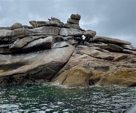 2022年 Vagabonds De La Baie 行く前に！見どころをチェック トリップアドバイザー