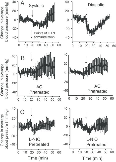 Nitroglycerin Induced Arterial Pressure Decreases In Anesthetized Rats