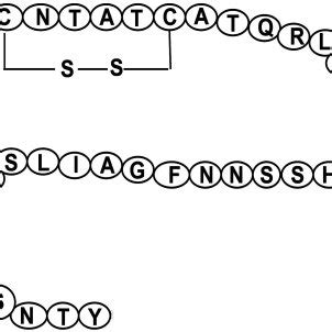 (PDF) Amylin Analogues in the Treatment of Diabetes Mellitus: Medicinal ...