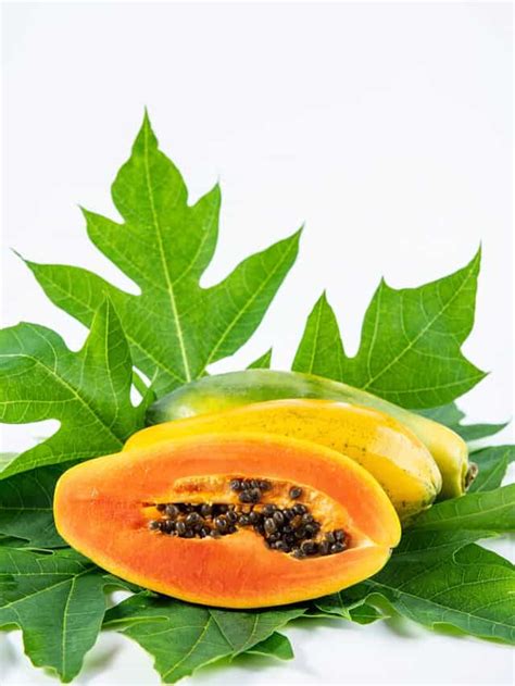 Surprising Ways Papaya Leaves Can Benefit You