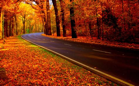 منظره زیبای جاده پاییزی Autumn Road Landscape