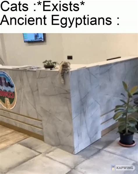 Cats And Ancient Egyptians Meme By Curveow Memedroid