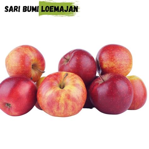 Jual Apel Malang Kg Buah Apel Malang Shopee Indonesia