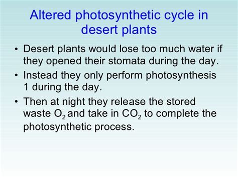 09 Photosynthesis And Plant Structures