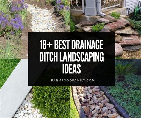 Best Drainage Ditch Landscaping Ideas Designs For Your Yard