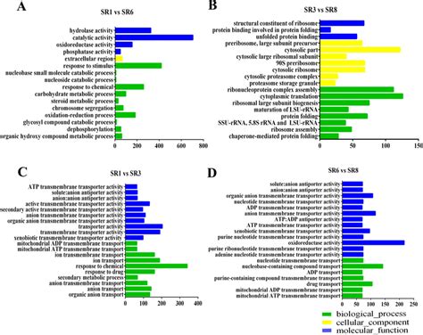 GO Functional Classification Of Differentially Expressed Genes AC And