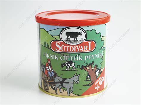 turkish beyaz peynir cheese stock image  science photo
