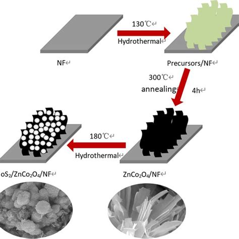 A XRD Patterns Of The MoS2 ZnCo2O4 On Ni Foam B The EDS Spectrum Of