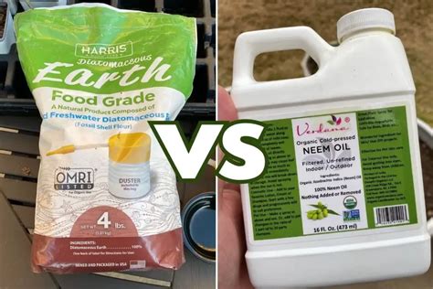 Diatomaceous Earth Vs Neem Oil Which Should You Use Backyard Garden Geek